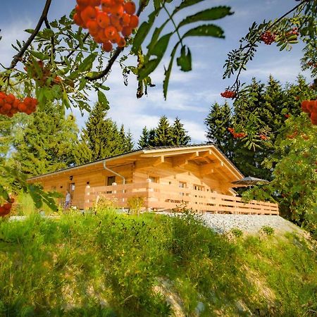 מאוט Das Wistlberg Wohlfuehlchalet מראה חיצוני תמונה